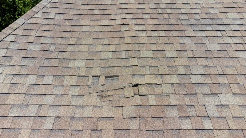 Asphalt Roof Inspection in Naugatuck, CT