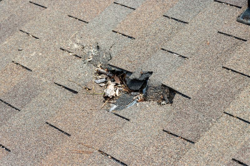 Roof Shingles Replacement in Hamden, CT